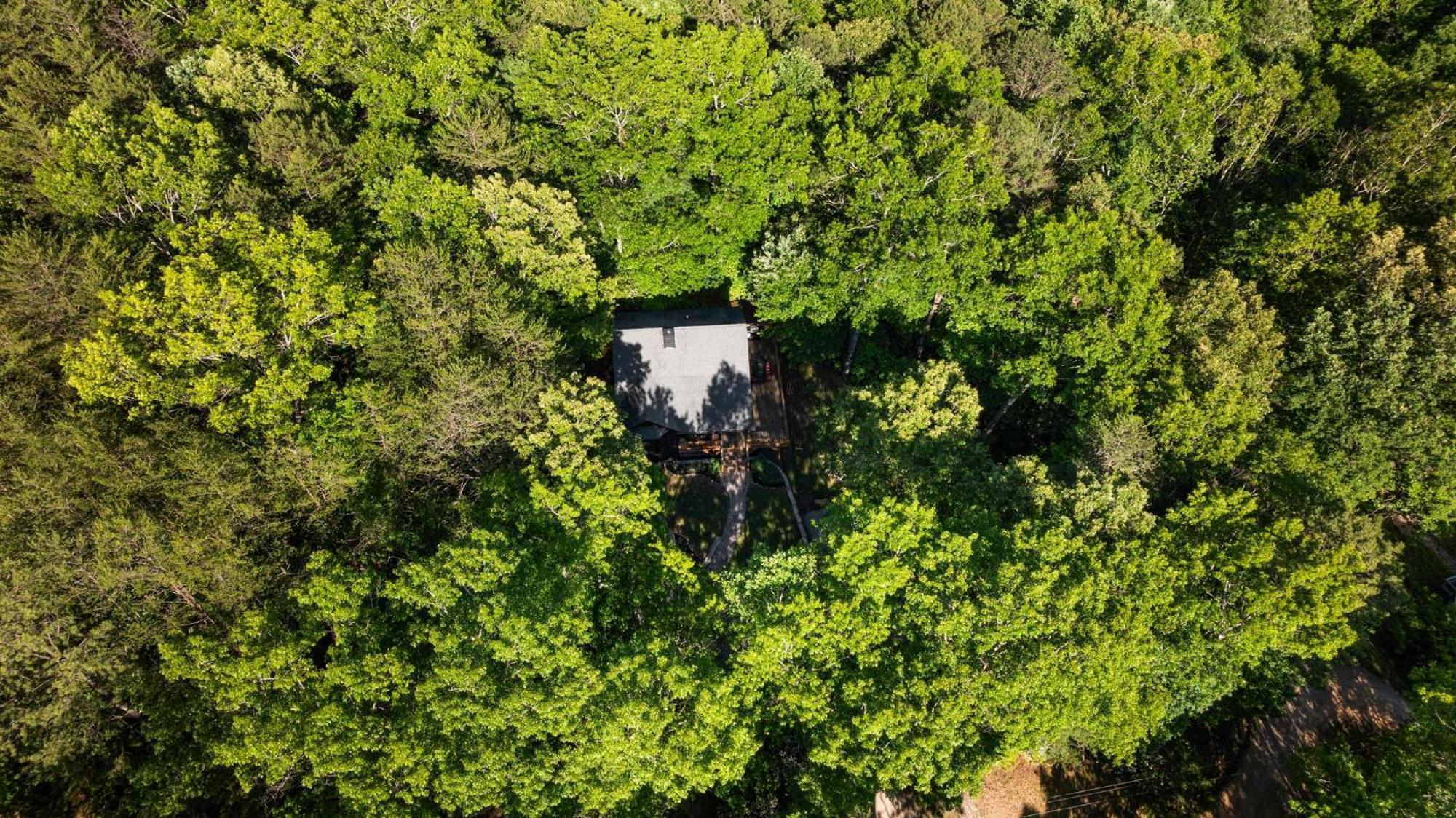 Serene Mountain And Sunset Views 3Bd Cabin Франклин Экстерьер фото